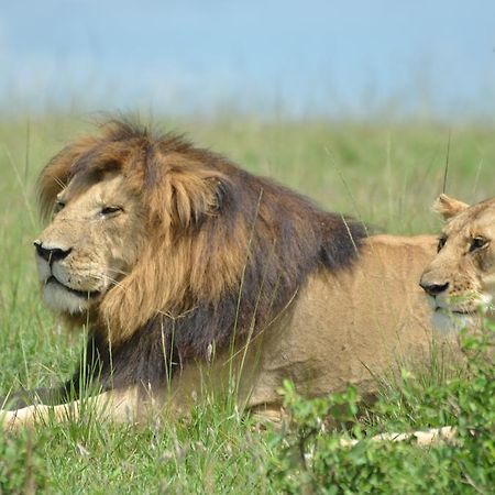 Rekero Camp Mara Simba Exterior foto