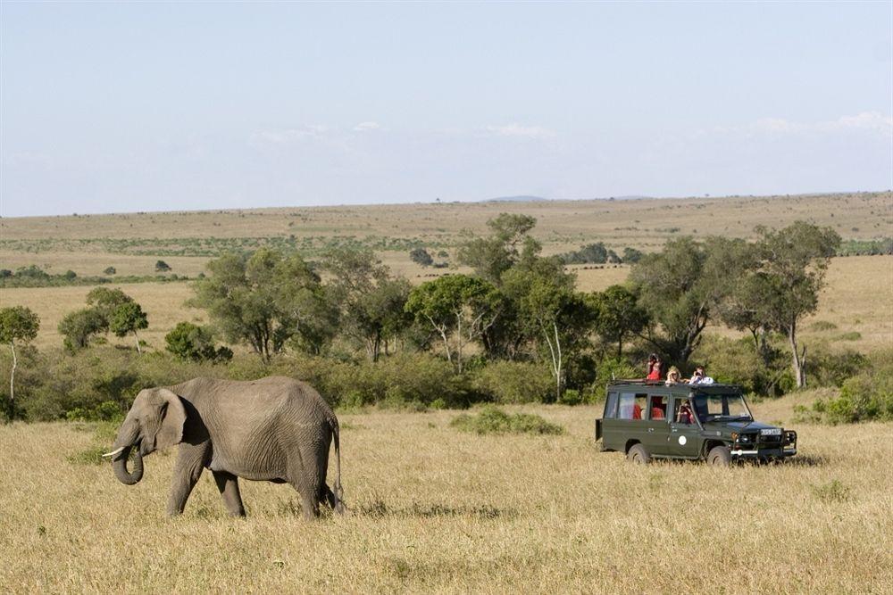 Rekero Camp Mara Simba Exterior foto