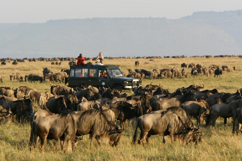 Rekero Camp Mara Simba Exterior foto