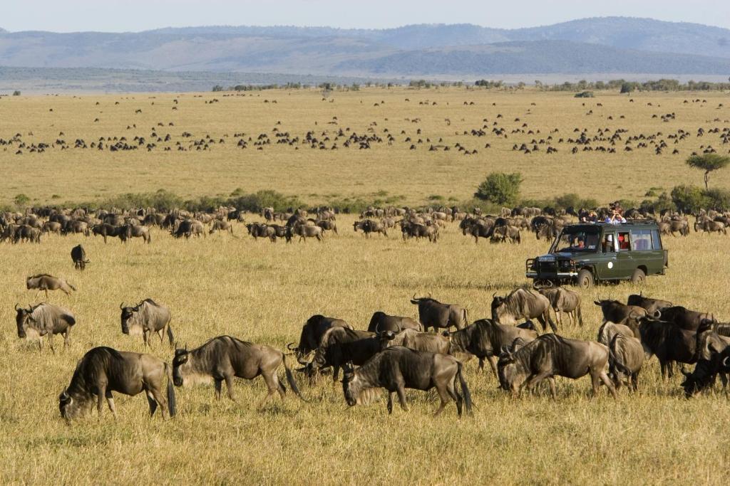 Rekero Camp Mara Simba Exterior foto